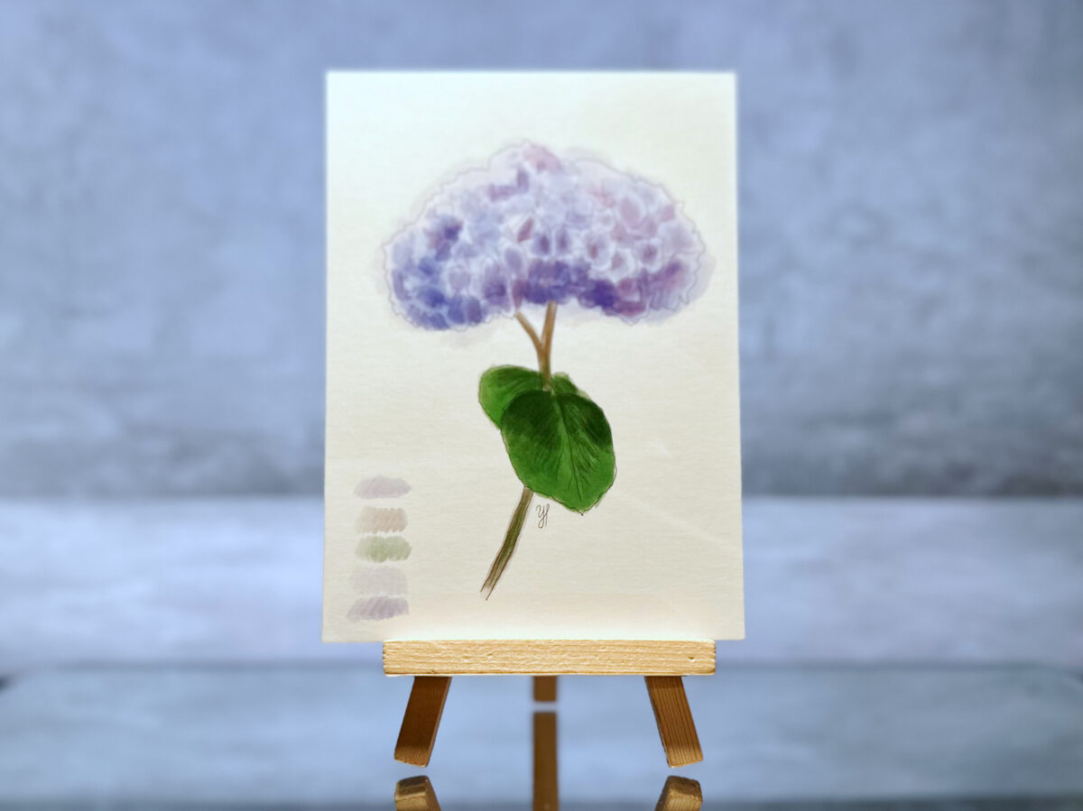 Postkarte "Hortensien - Hydrangea" Wasserfarbe Aquarell